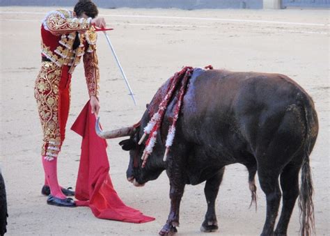 Blood and Sand - A Stirring Epic Tale of Love, Loss, and Bullfighting!