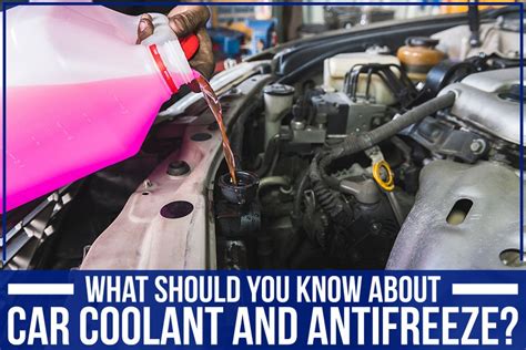 Can You Put Too Much Coolant in Your Car? And Why Does My Cat Keep Staring at the Radiator?