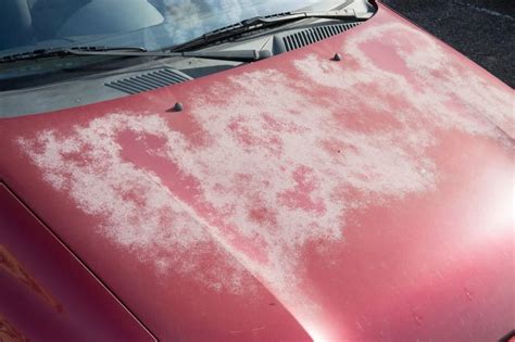 How to Protect Car from Sun Damage: A Comprehensive Guide to Keeping Your Vehicle in Top Shape