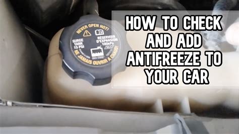 Where Do You Put Antifreeze in Your Car, and Why Does It Taste Like Mint?